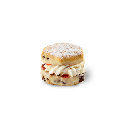 Cream Scone